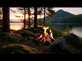 Cozy Lakeside Campfire in the Mountains Soothing Spring Nature Ambience for Calm Evenings
