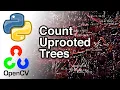Count Uprooted Trees with Python and OpenCv