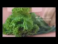 Iklan TVC STEIN Diamond Knife - versi 15 detik