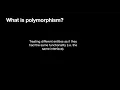 Go Polymorphism via Receivers and Interfaces