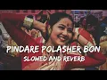 Download Lagu Pindare Polasher Bon| Ankita Bhattacharya| পিন্দারে পলাশের বন| Bengali folk song |LoFi #slowedreverb