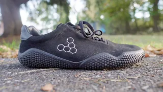MOTUS STUDIO the best do-it-all trainers by vivobarefoot