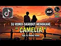 Download Lagu DJ CAMELIA - RHOMA IRAMA REMIX DANGDUT MENGKANE FULL SONG BHAPON MUSIK VIRAL TIKTOK🎶