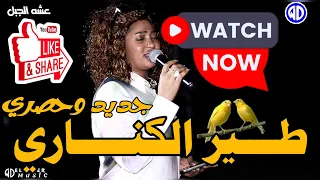 جديد عشه الجبل طير الكناري نوري الجنا منذر كركبه حلاوه العقارب اغاني سودانية NEW 2025 
