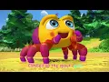 Itsy Bitsy Spider | CoComelon Nursery Rhymes & Animal Songs