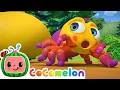 Download Lagu Itsy Bitsy Spider | CoComelon Nursery Rhymes \u0026 Animal Songs