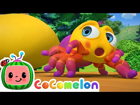 Download MP3 Itsy Bitsy Spider | CoComelon Nursery Rhymes \u0026 Animal Songs
