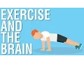 EXERCISE AND THE BRAIN - SPARK BY JOHN RATEY ANIMATED BOOK SUMMARY