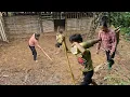 Download Lagu The journey of single mother and orphaned boy to make a home yard, harvest bamboo shoots