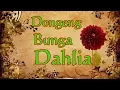 Download Lagu Kisah Dahlia (Cara Menanam Benih Dahlia)