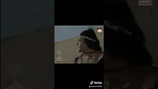 احمد عبد العزيز هادي الجيار حمدي غيث عمر الحريري تهاني راشد من مسلسل السيرة الهلالية 