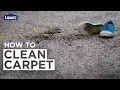 How to Clean Carpet