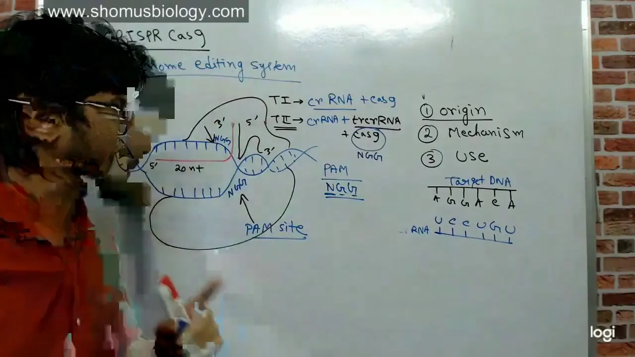 Crispr cas9 gene editing explained