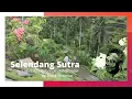 Download Lagu Selendang Sutra by Frank Provoost