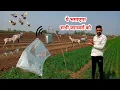 Download Lagu इस जुगाड़ से किसानों को काफी ज्यादा फायदा है | Very Important Jugaad For The Farmers ||