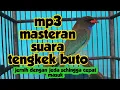 Lagu Mp3 masteran suara tengkek buto jernih dengan jeda