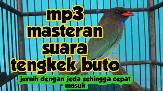 Download Mp3 masteran suara tengkek buto jernih dengan jeda MP3