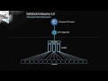 Introduction to SaltStack Enterprise 5 0