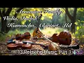Armenian Family / Violin, Duduk, Kamancha, Clarinet , Ud - 13 Relaxing Music - #arsenzacarean