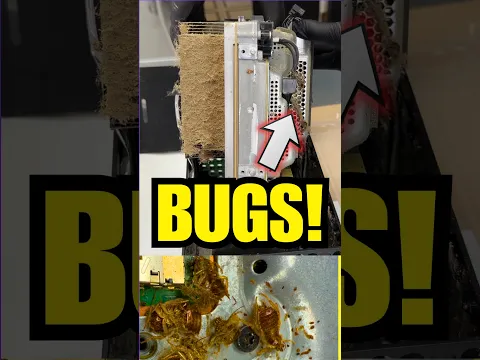 DISGUSTING Bug Infested Xbox from eBay! #tech #technology #shorts #pc