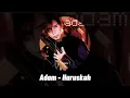 Adam - Haruskah (Lyrics Music Video)