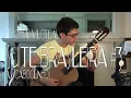 Sergio Assad - Suite Brasileira #3 : V-Caboclinhos