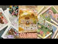 Relaxing Satisfying Coloring Book Compilation - TikTok Edition