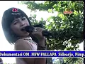 Download Lagu MENJELMA PETIR - TASYA ROSMALA - [NEW PALLAPA TANGGUNGAN]