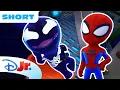 Spidey Meets Symbie Meet Spidey and his Amazing Friends Short disneyjr