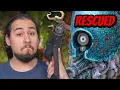 Rescuing Old Forge World Models