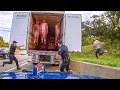 When Cops Make Disturbing Traffic Stop Discoveries