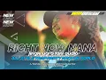 Download Lagu DJ RIGHT NOW NANA TRAP PARTY NROTOK KOPLO JINGLE UGRA TANI FEAT DJ RIECKY FUNDURACTION WSB OFFICIAL