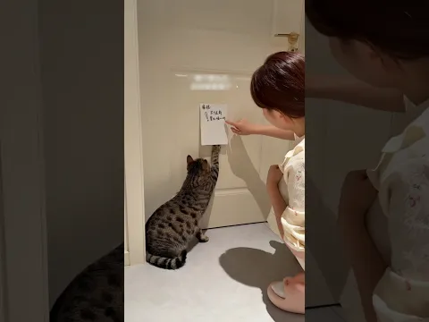 Cat Turned Little Kitten Fainted!