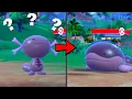 How To Find Wooper and Evolve it to Clodsire in Pokemon Scarlet Violet