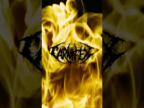 MORE THAN MISERY — TOMORROW. @Carnifex