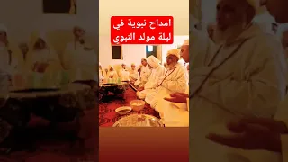 امداح نبوية في ليلة مولد النبوي  امداح نبوية في ليلة مولد النبوي