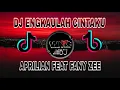 Download Lagu DJ ENGKAULAH CINTAKU \