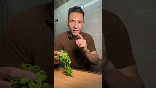 الطعميه المصري Vs الفلافل السورية في البيت 