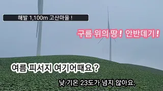 무료차박/구름위의 땅 ! 안반데기 !/고냉지 배추의 최고 생산지/#스타랙스캠핑카 #차박여행 썸네일