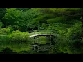 Best of BCee: Artist Liquid Drum and Bass Mix #2
