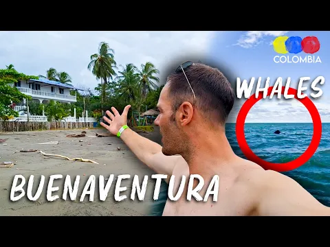 Whale Watching in Buenaventura | Full Experience