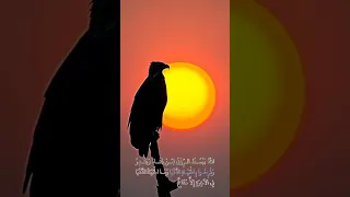 وما الحیاة الدنيا في الاخرة الا متاع قرائة رهيبة و صوت لا يتكرر القارئ عبدالمنعم الطوخي 