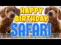 Download Lagu Happy Birthday Safari! ( Funny Talking Dogs ) What Is Free On My Birthday
