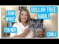 DOLLAR TREE HAUL Look What I Found NEW ITEMS LOVE DT