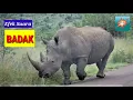 Suara BADAK