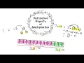 Distributive Property of Multiplication Visual Method