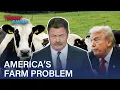 Lagu Nick Offerman: America's Small Farms Are Being Slaughtered by Corporations | The Daily Show