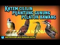 Lagu MASTER KATEM CILILIN, PIJANTUNG GUNUNG, PELATUK BAWANG Jeda suara jauh suasana hutan