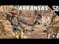 ARKANSAS DEER HUNTING Public Land with a BOW