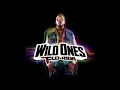 2. Flo Rida - Wild Ones ft. Sia (Audio)